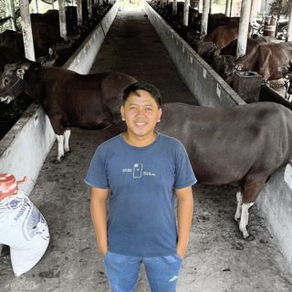 Foto Ricky Juni, Mitra Peternak Cowin